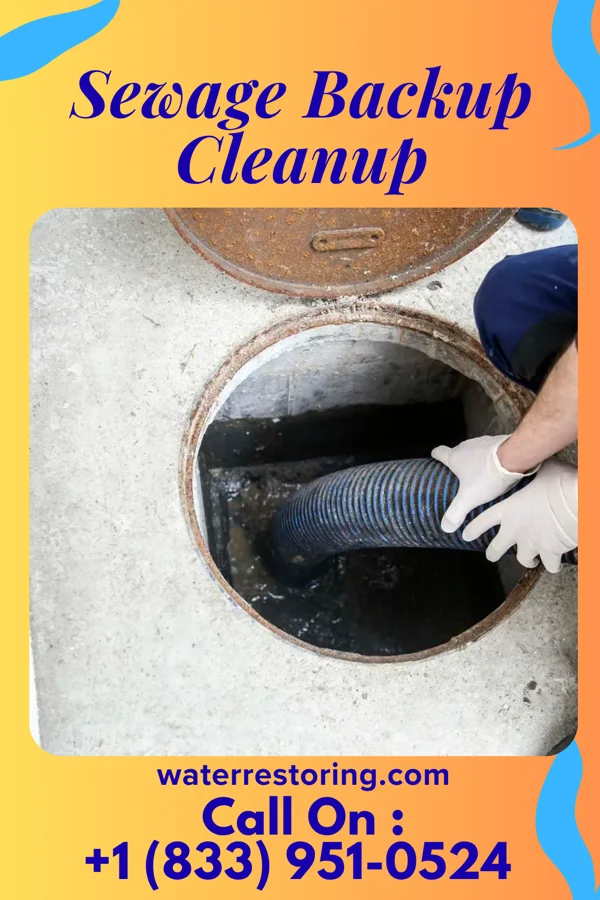 Sewage Backup Cleanup in Englewood, KS