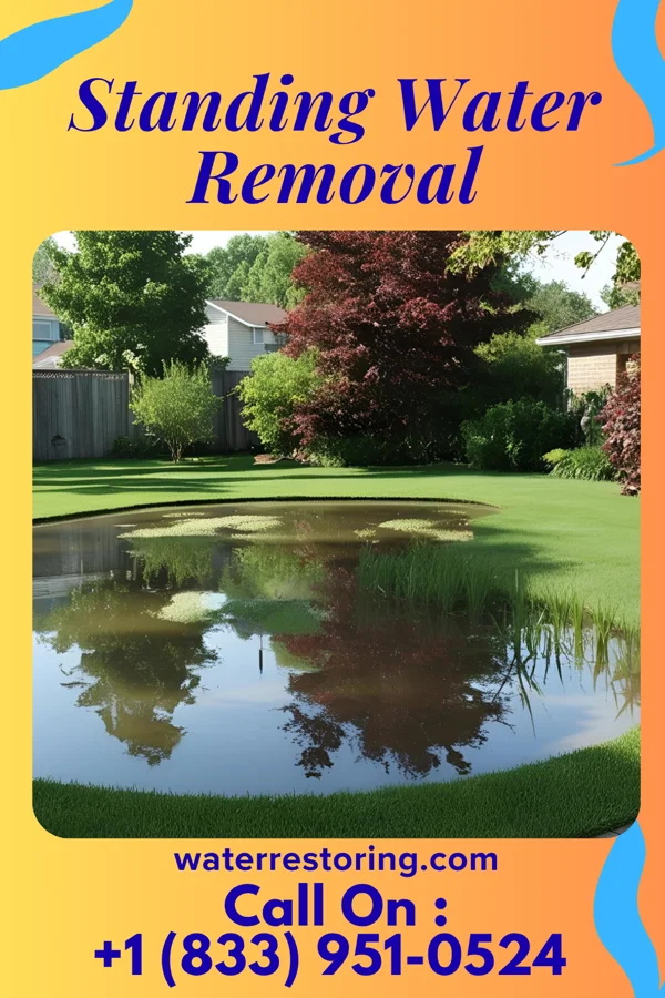 Standing Water Removal in Englewood, KS